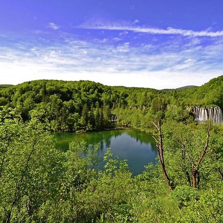 فيلا Milan In Rastovača المظهر الخارجي الصورة